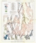 Picture of LINCOLN COUNTY TECTONIC NEVADA MINES - USGS 1998