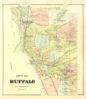 Picture of BUFFALO NEW YORK LANDOWNER - STONE 1866