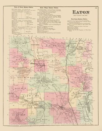 Picture of EATON NEW YORK LANDOWNER - WHITMAN 1875