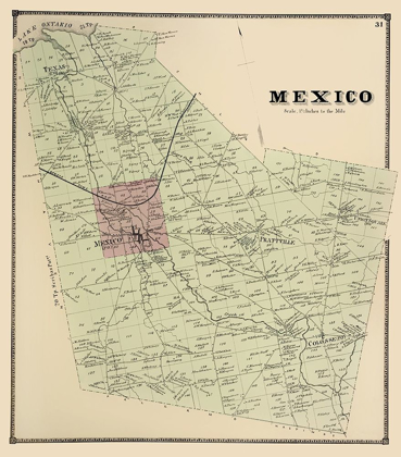 Picture of MEXICO NEW YORK LANDOWNER - STONE 1866