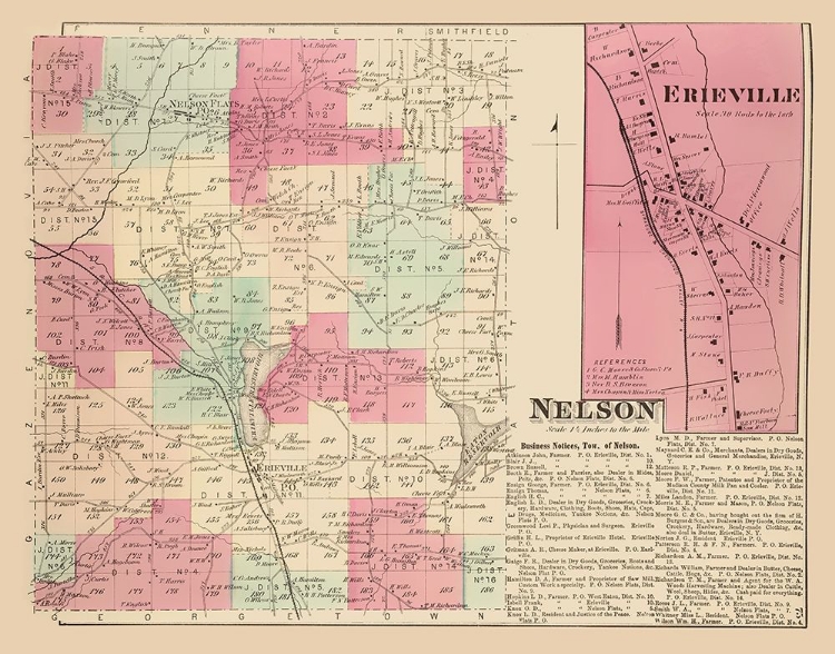 Picture of NELSON NEW YORK LANDOWNER - WHITMAN 1875