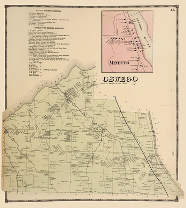 Picture of OSWEGO, MINETTO NEW YORK LANDOWNER - STONE 1866