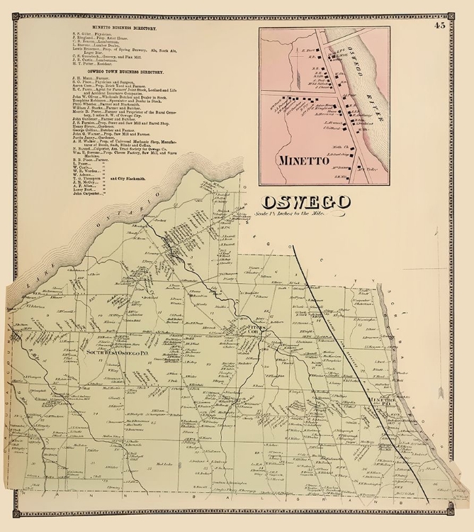 Picture of OSWEGO, MINETTO NEW YORK LANDOWNER - STONE 1866