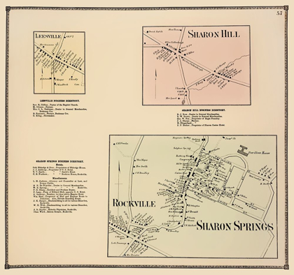 Picture of SHARON SPRINGS NEW YORK LANDOWNER - BEERS 1866