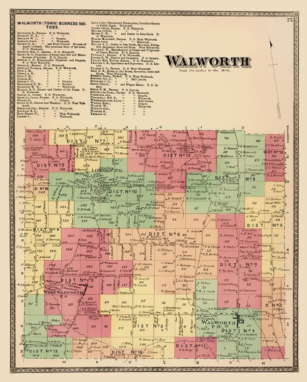 Picture of WALWORTH NEW YORK LANDOWNER - BEERS 1874