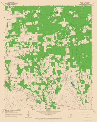 Picture of BAGWELL TEXAS QUAD - USGS 1964