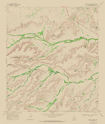 Picture of BUSHER CANYON TEXAS QUAD - USGS 1968
