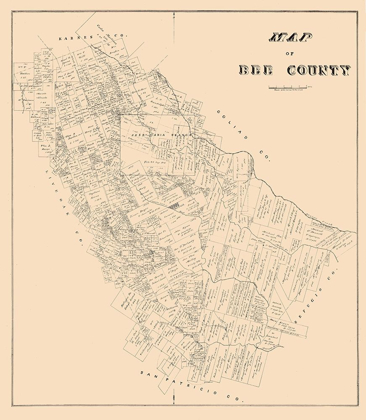 Picture of BEE COUNTY TEXAS - 1879
