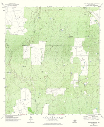 Picture of BEEF HOLLOW CREEK TEXAS QUAD - USGS 1972