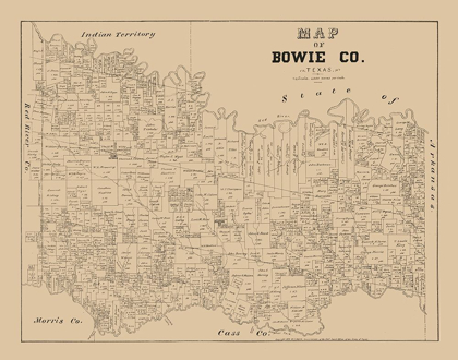 Picture of BOWIE COUNTY TEXAS - WALSH 1879