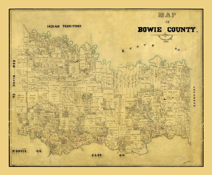 Picture of BOWIE COUNTY TEXAS - 1884