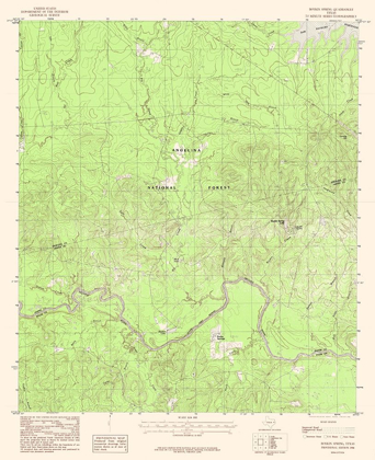 Picture of BOYKIN SPRING TEXAS QUAD - USGS 1984