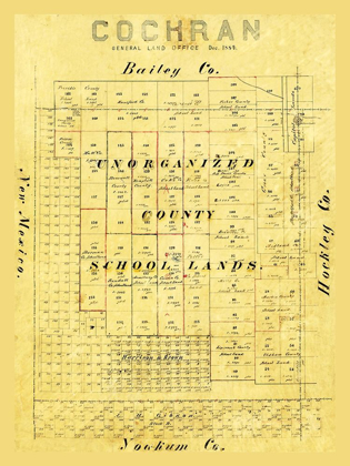 Picture of COCHRAN COUNTY TEXAS - 1884