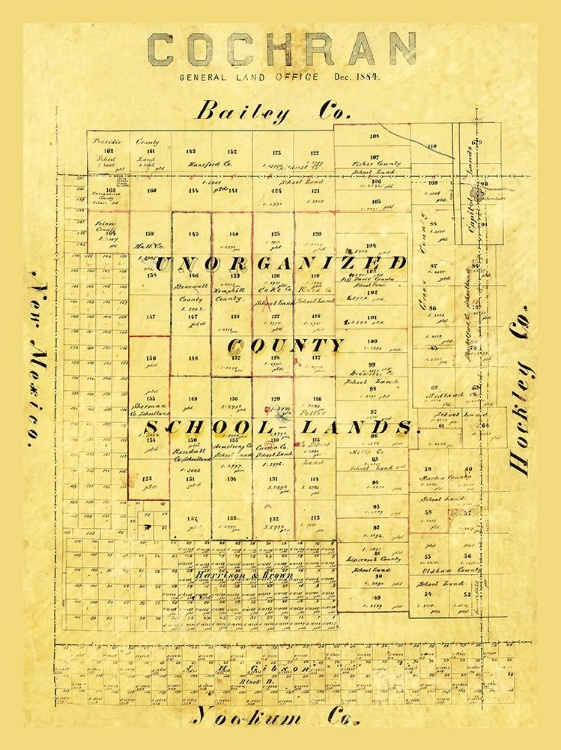 Picture of COCHRAN COUNTY TEXAS - 1884