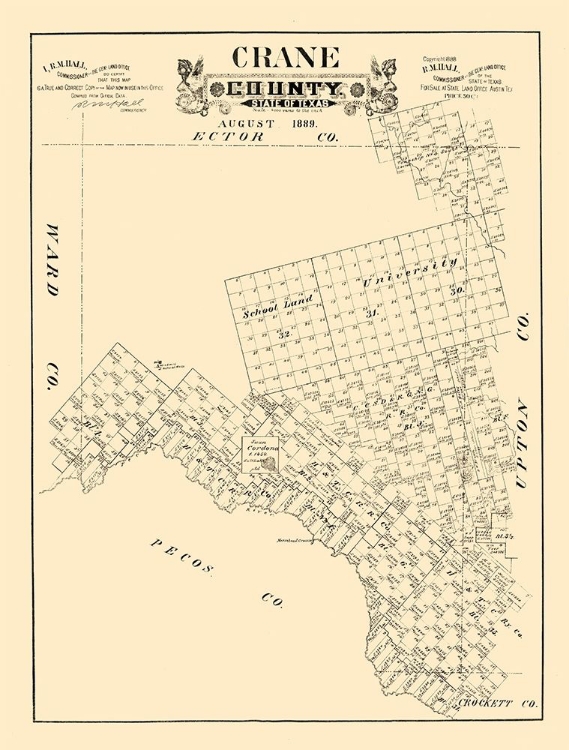 Picture of CRANE COUNTY TEXAS - 1889