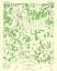 Picture of CARBON TEXAS QUAD - USGS 1966