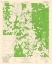 Picture of CAYUGA TEXAS QUAD - USGS 1982