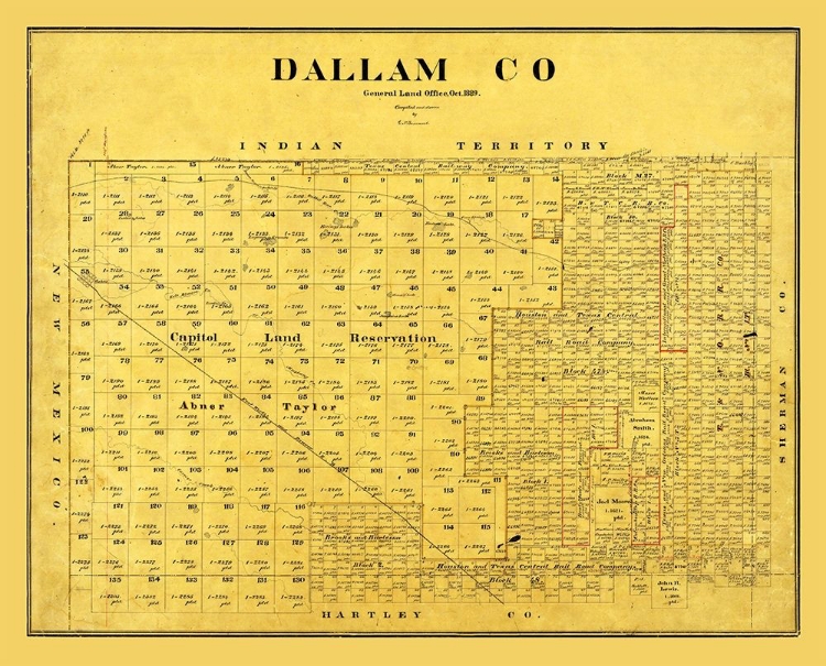 Picture of DALLAM COUNTY TEXAS - BEAUMONT 1889