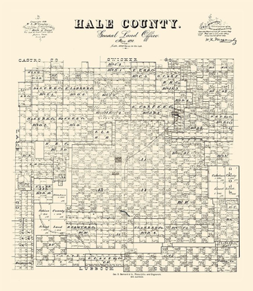 Picture of HALE COUNTY TEXAS - MCGAUGHEY 1892