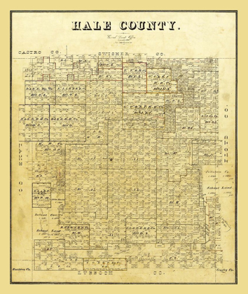Picture of HALE COUNTY TEXAS - 1895