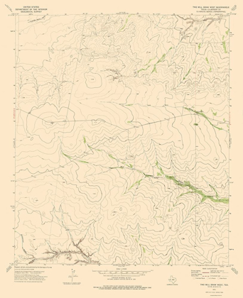 Picture of TWO MILL DRAW WEST TEXAS QUAD - USGS 1973