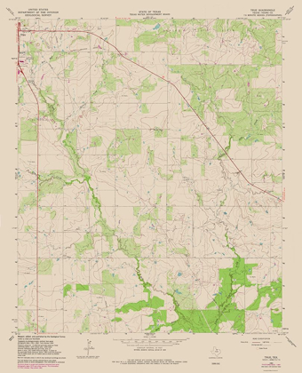 Picture of TRUE TEXAS QUAD - USGS 1964