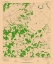 Picture of TUNIS TEXAS QUAD - USGS 1962