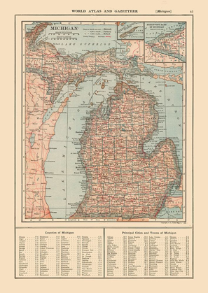 Picture of MICHIGAN - REYNOLD 1921