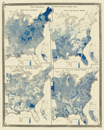 Picture of UNITED STATES DISTRIBUTION OF DISEASES