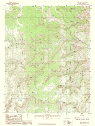 Picture of BEAR CANYON UTAH QUAD - USGS 1987
