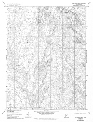 Picture of BUCK CAMP CANYON UTAH QUAD - USGS 1968