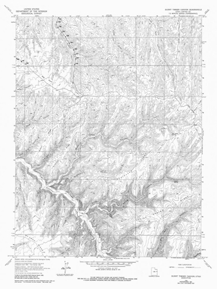 Picture of BURNT TIMBER CANYON UTAH QUAD - USGS 1966