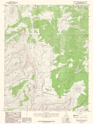 Picture of HORSE PASTURE MESA UTAH QUAD - USGS 1987