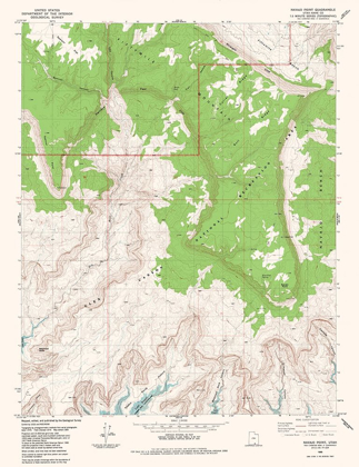 Picture of NAVAJO POINT UTAH QUAD - USGS 1985