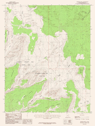 Picture of PIONEER MESA UTAH QUAD - USGS 1987