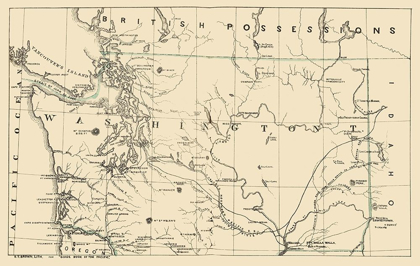 Picture of WASHINGTON - BROWN 1865