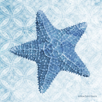 Picture of STARFISH I