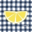 Picture of HALF LEMON