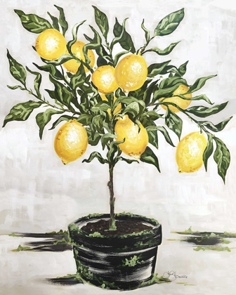 Picture of LEMON TREE