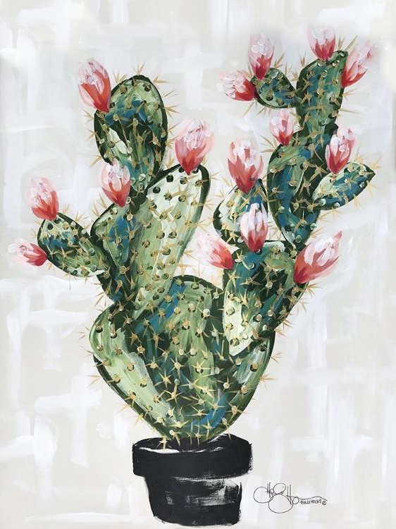 Picture of CACTUS