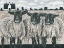 Picture of THREE SHEEP