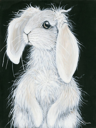 Picture of BUNNY