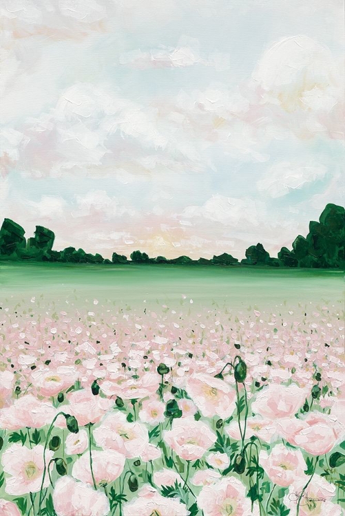 Picture of PINK POPPIES