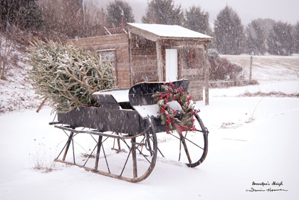 Picture of GRANDPAS SLEIGH