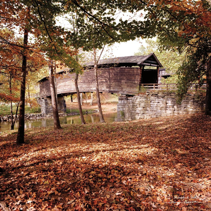 Picture of HUMPBACK FALL