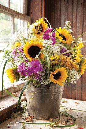 Picture of WILDFLOWERS IN BUCKET