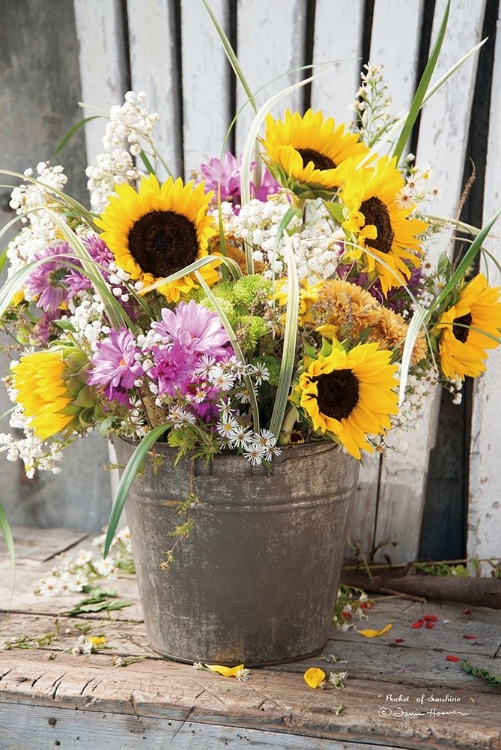 Picture of BUCKET OF SUNSHINE