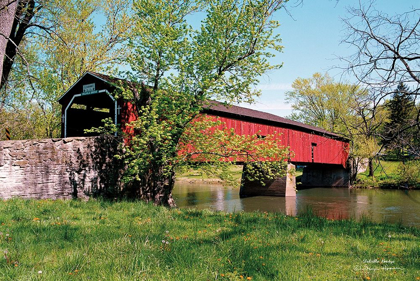 Picture of DELVILLE BRIDGE