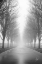 Picture of CURIOUS ROAD