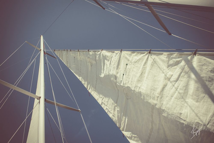 Picture of SAILING A LINE